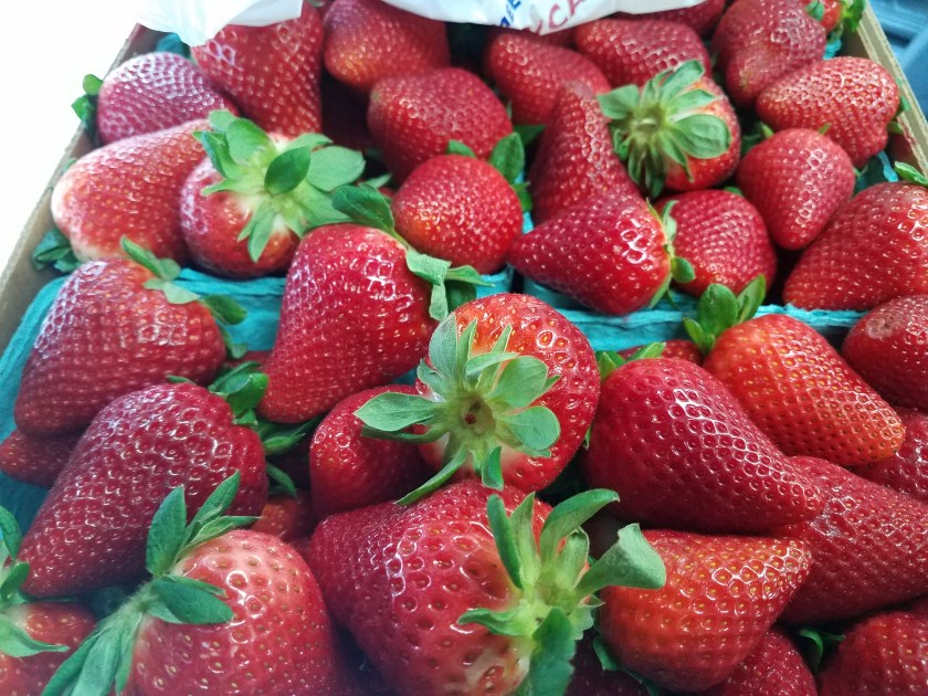 1492543714640-1305003638